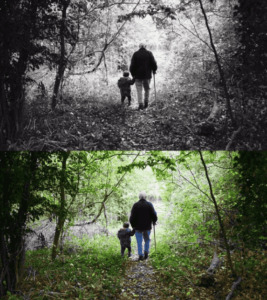 Szürkehályog műtét