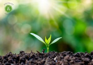 Növényvédőszer webáruház